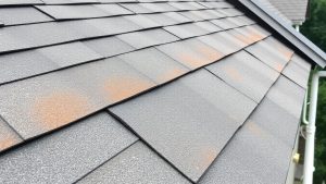 Acoperișul casei pregătit pentru iarnă.